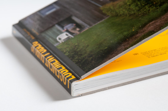 Logement public / Habiter l'espace rural
Bourgeois, Marie - Dassonville, Chantal - Dawance, Sophie - Kempf, Mathilde - Eggerickx,
Thierry - Gauzin-Müller, Dominique