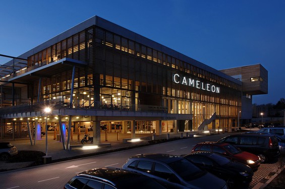 Caméléon